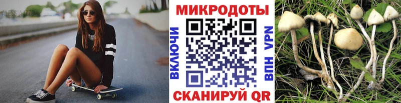 где найти   Тюкалинск  KRAKEN сайт  Галлюциногенные грибы мицелий 